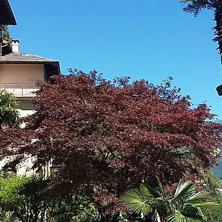 Villa Sasso Dimora Di Lago-2