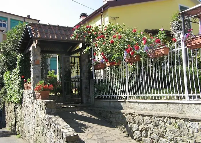 L'Olivo