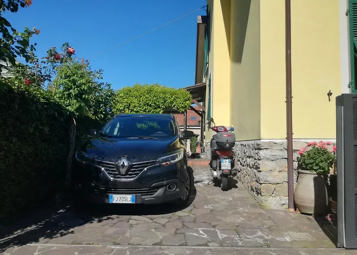 L'Olivo