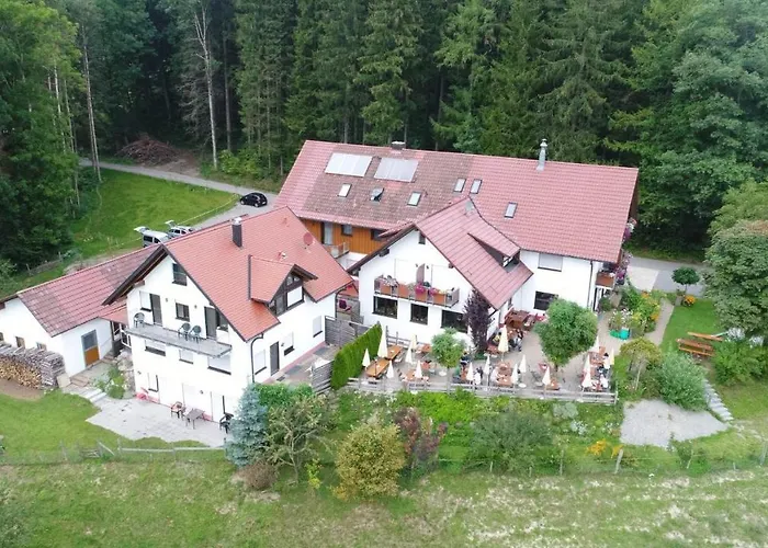 Gasthof Grüner Baum Kongo Amtzell