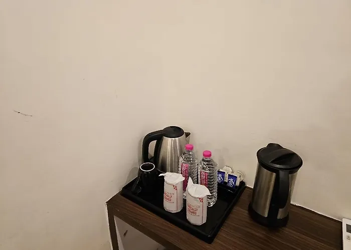Hotel Orchid Lucknow