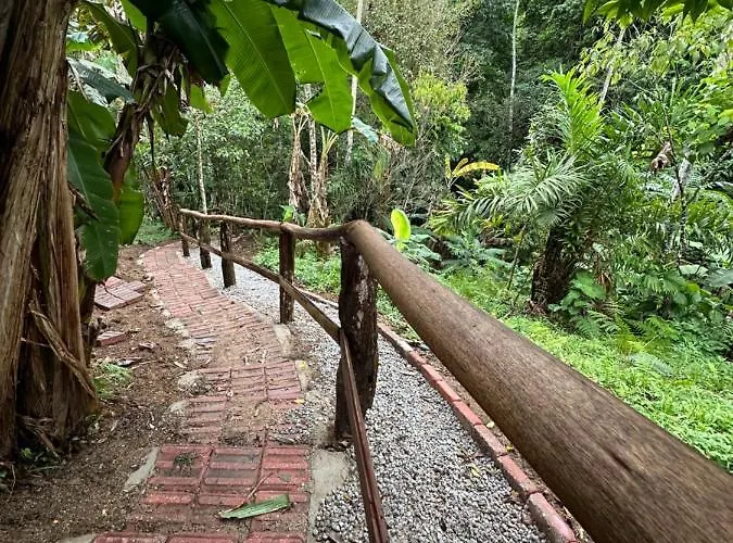 Vila Dos Passaros,Quarto 05