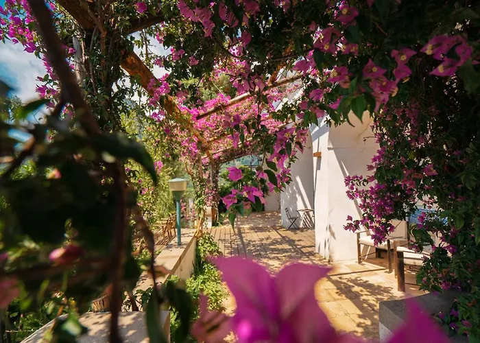 Casa Flora Bed & Breakfast Vietri sul Mare