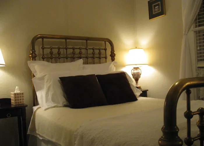 The Forest Queen Hotel