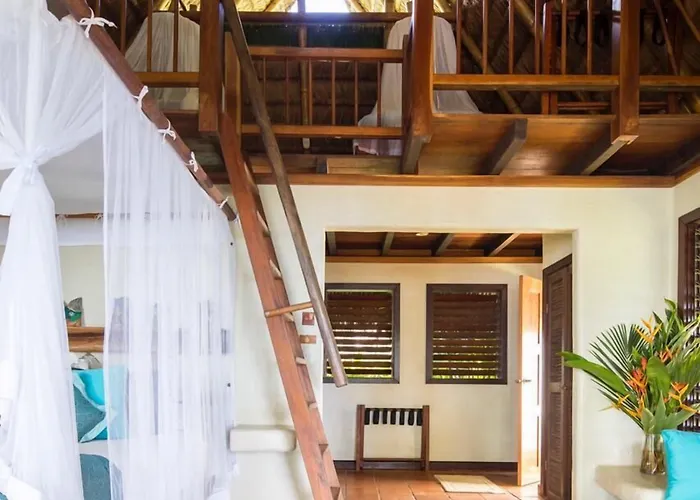 Bosque Del Cabo Rain Forest Lodge Puerto Jimenez