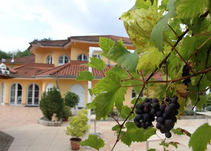 Hostellerie Bacher Neunkirchen 