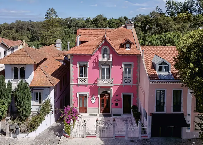 Sintra Marmoris Camelia