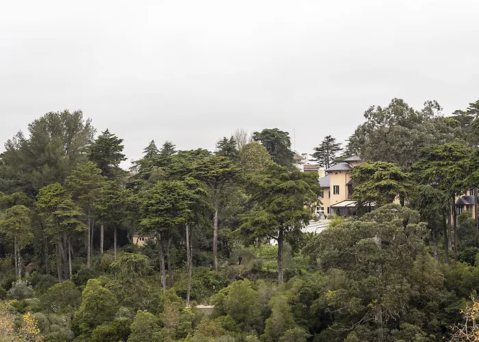Sintra Marmoris Camelia
