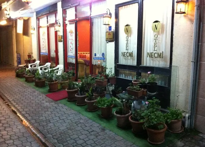 Hotel Necmi Samsun