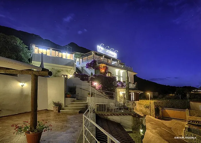 Hotel Magnolia
